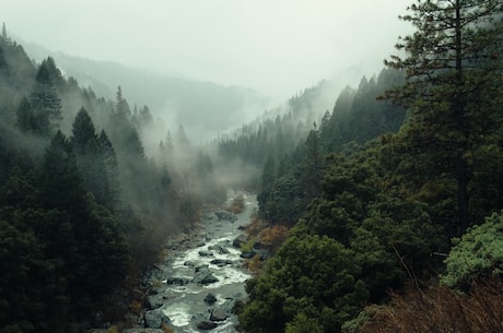 诗中山水如画《山行》