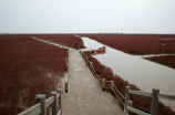 辽宁盘锦(辽宁盘锦：沿海之珠的旅游胜地)