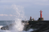 海东青(海东青，探索中华美食文化)