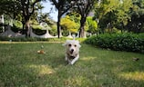 佛山南海观音寺（佛山南海观音寺——千年庙宇的圣地）