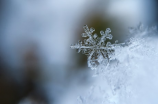 故宫的雪(闲逛故宫，别样的雪景)