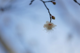 广州珠江花城：灯光秀的璀璨花海