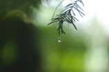 定远天气预告：本周阴雨绵绵，周日暴雨来袭